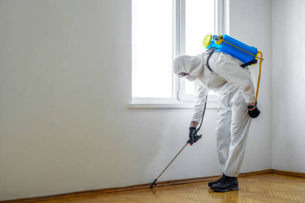 Professional Pest Control in Snow Hill, MD