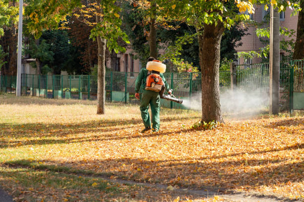 Best Local Pest Control Services  in Snow Hill, MD
